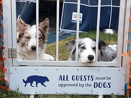 campingpoortje met 2 honden